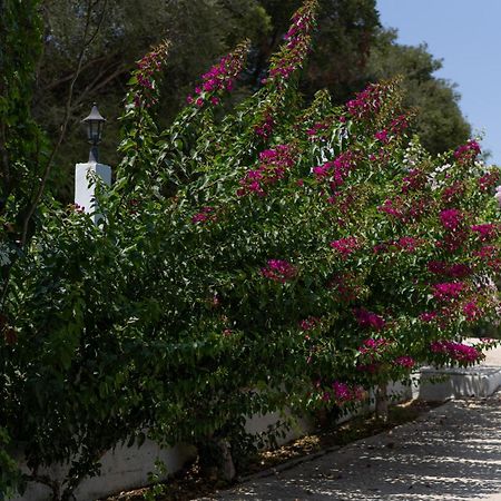 Kamária Blue Houses Maisonettes מראה חיצוני תמונה